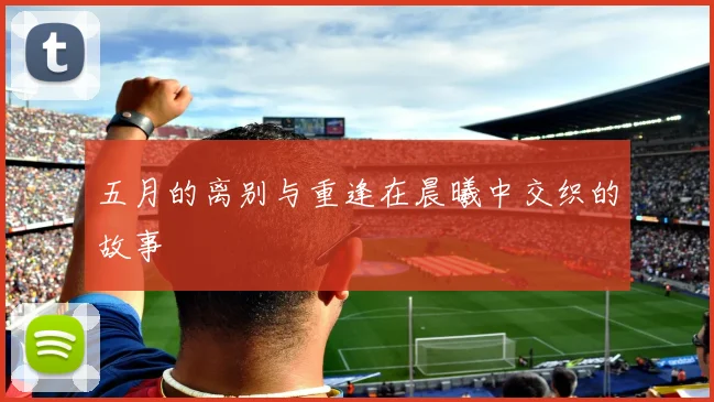 五月的离别与重逢在晨曦中交织的故事