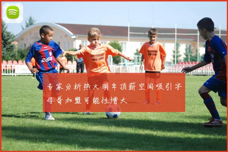 专家分析热火明年顶薪空间吸引字母哥加盟可能性增大