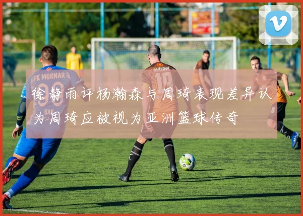 徐静雨评杨瀚森与周琦表现差异认为周琦应被视为亚洲篮球传奇